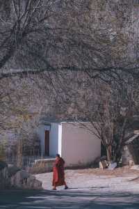 哲蚌寺，一座來了就不想走的寺廟