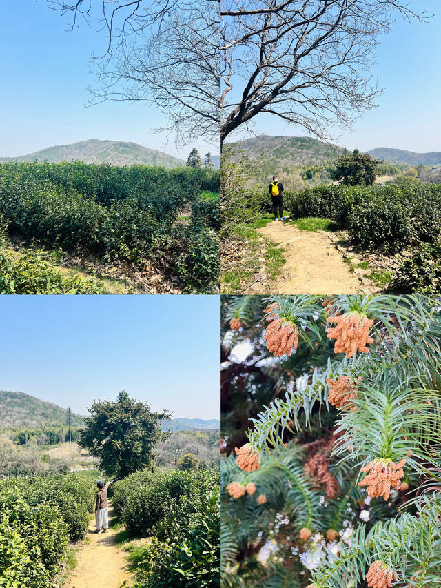 網上推薦的這條南北湖親子路線已經實踐過了，不廢腿