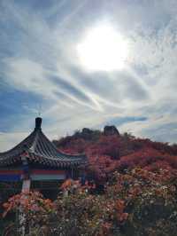 張家界等地5日遊 玩轉精華景點 超詳細攻略