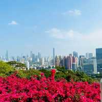 行山：深圳蓮花山公園