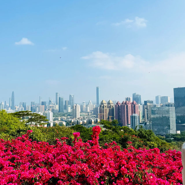 行山：深圳蓮花山公園