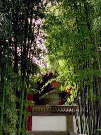 西安小眾賞花攻略｜大慈恩寺絕美機位俾我搵到咗喇！