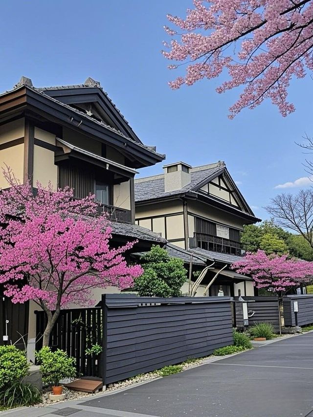 2日無錫遊 老年人出行必看攻略