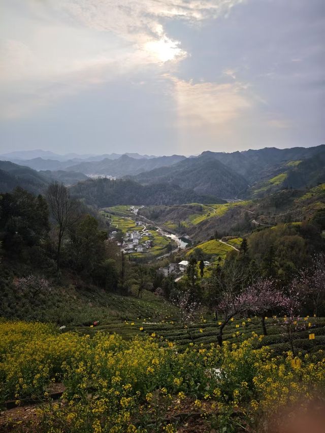 三月底婺源油菜花旅遊攻略