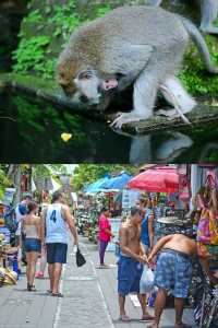 印尼峇里島烏布，綠脈上的神靈棲息地