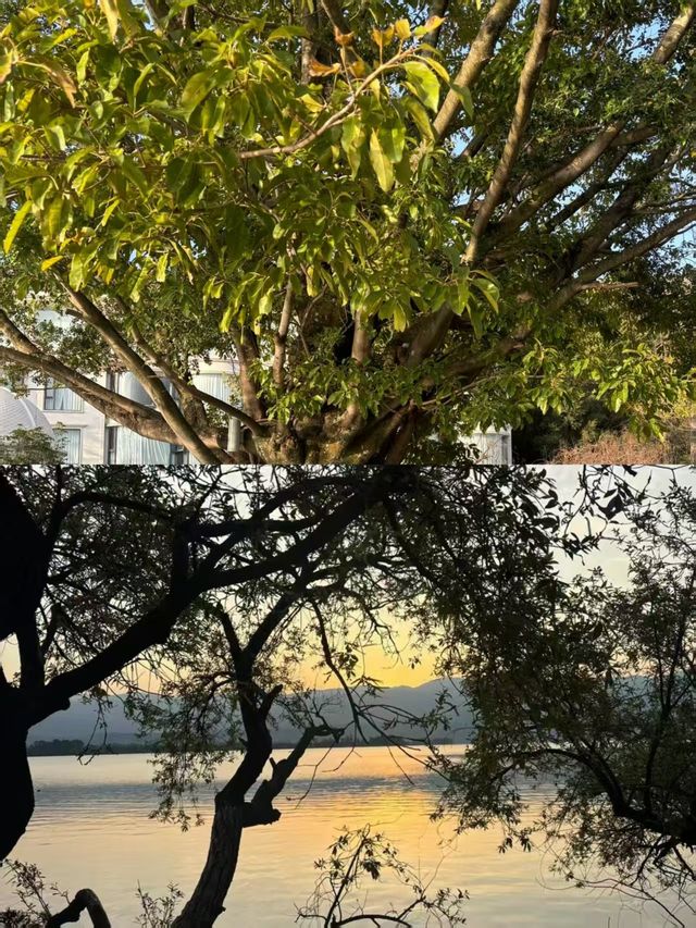 西昌3日寶藏旅行計劃|內陸人的海邊烏托邦