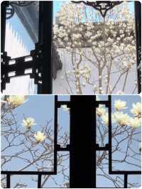 蘇州受罪已回，真不建議3月去！