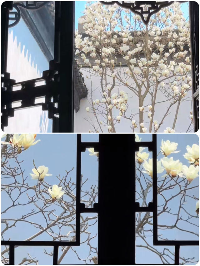 蘇州受罪已回，真不建議3月去！