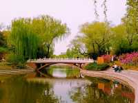 Tangshan Nanhu-Kailuan Tourist Scenic Area: From Coal Mining To The Green Wonder