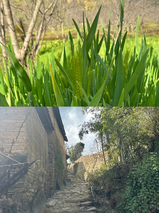 探索雲南古墨村，千年墨香飄四方