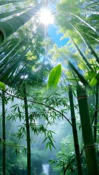 天啊！綠色的海洋！