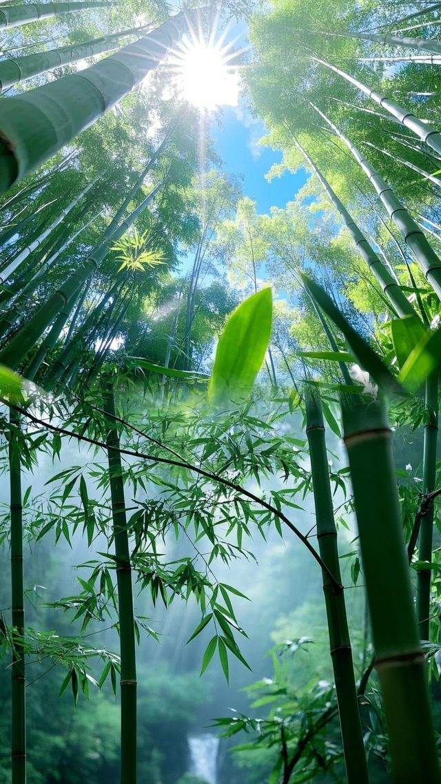天啊！綠色的海洋！