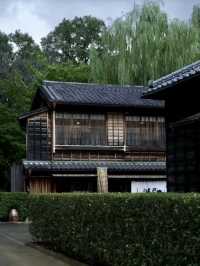 時光停泊之地：江戶東京建物園的漫步日記