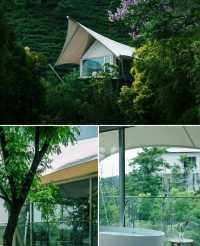 270°全景落地玻璃窗！安吉茶山上嘅野奢帳篷酒店