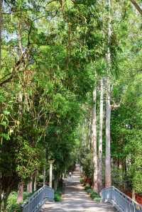 人少好拍在廣州我想去無數次的寶藏公園