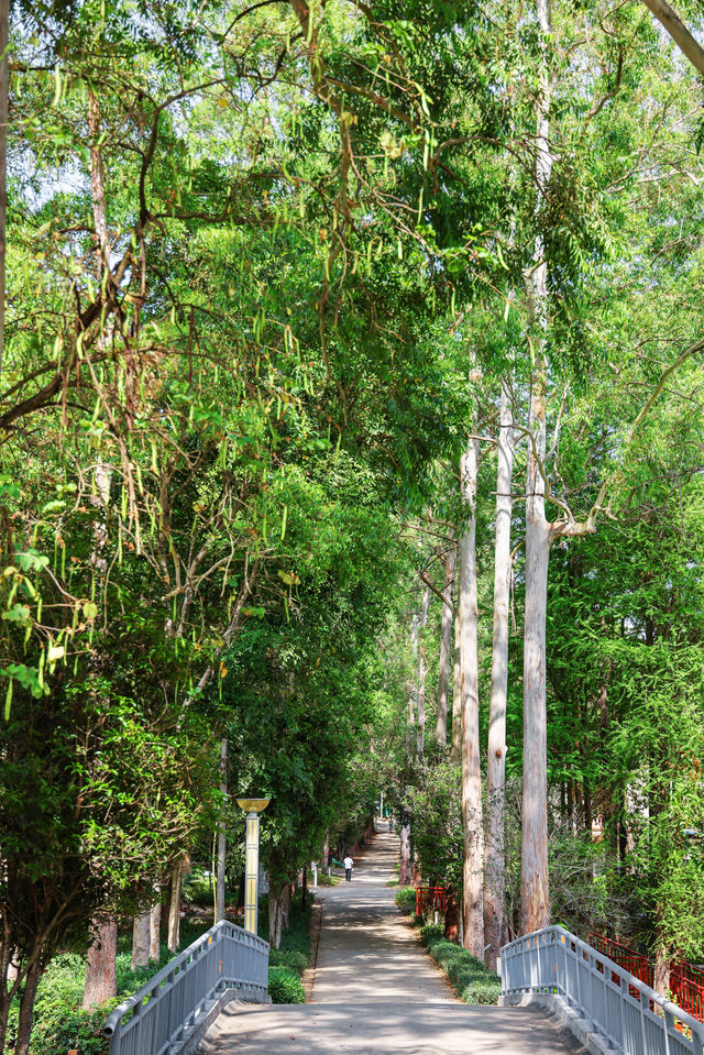 人少好拍在廣州我想去無數次的寶藏公園