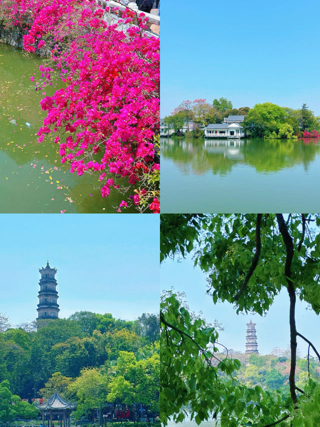 去了次惠州，整理出來的攻略