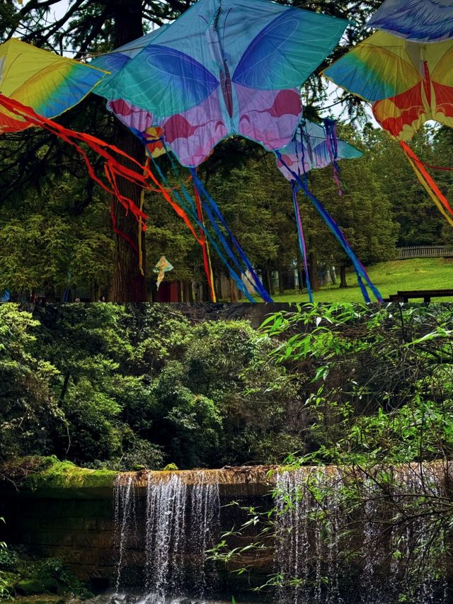 仙女山國家森林公園 五一必去
