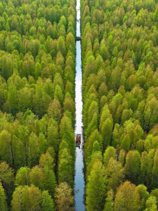 Hidden Forest Paradise Near Nanjing That 99% of Locals Don't Know About!