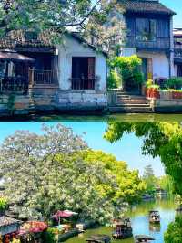 西塘旅遊攻略：穿越千年水鄉的詩意棲居