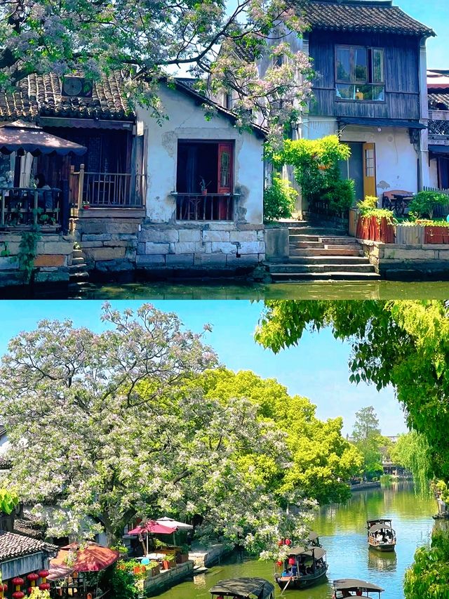 西塘旅遊攻略：穿越千年水鄉的詩意棲居