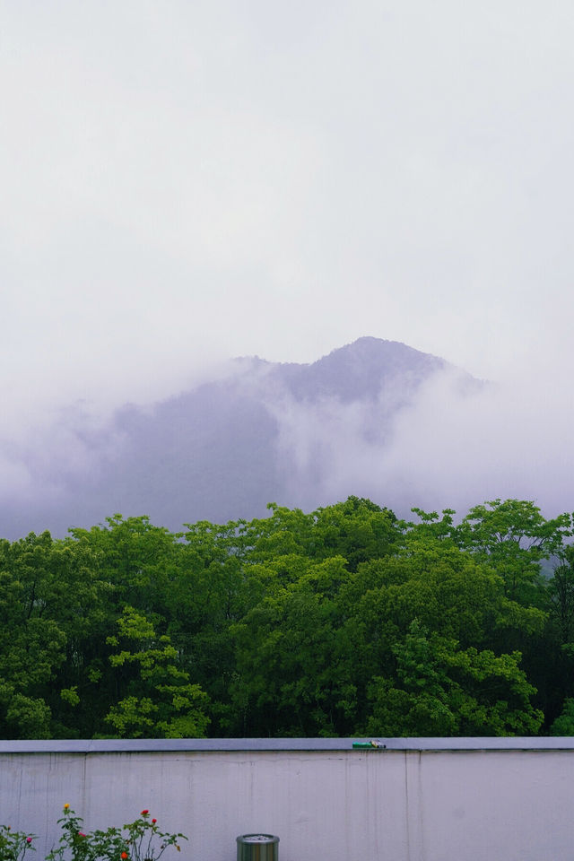 天台山國清寺｜住進禪意秘境，穿越千年的心靈療癒之旅