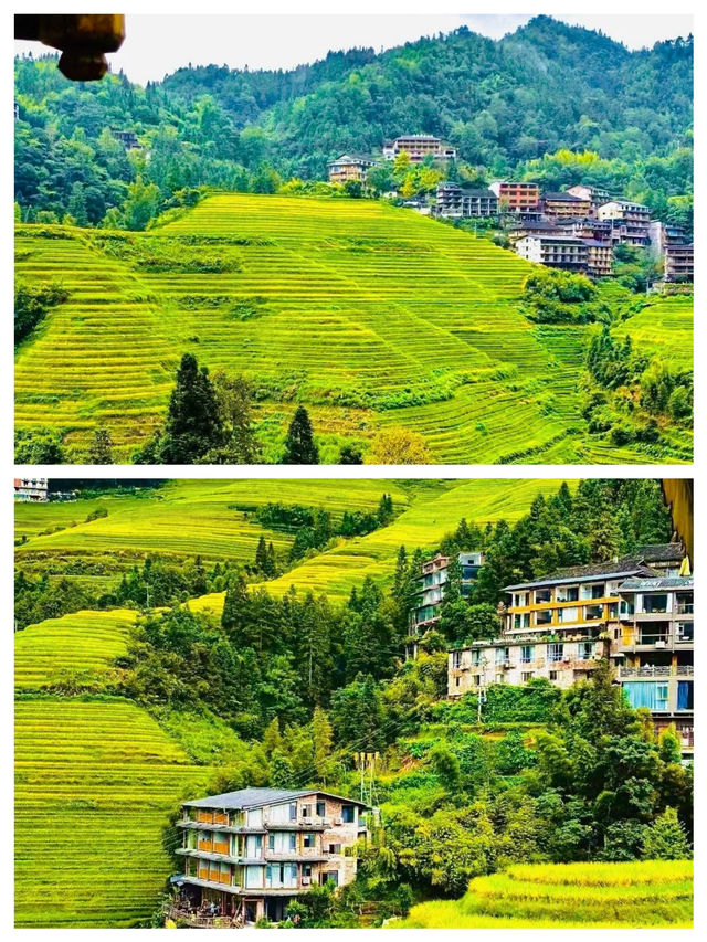 今個夏天一定要去一次桂林•龍脊梯田 今個夏天一定要去一次桂林•龍脊梯田