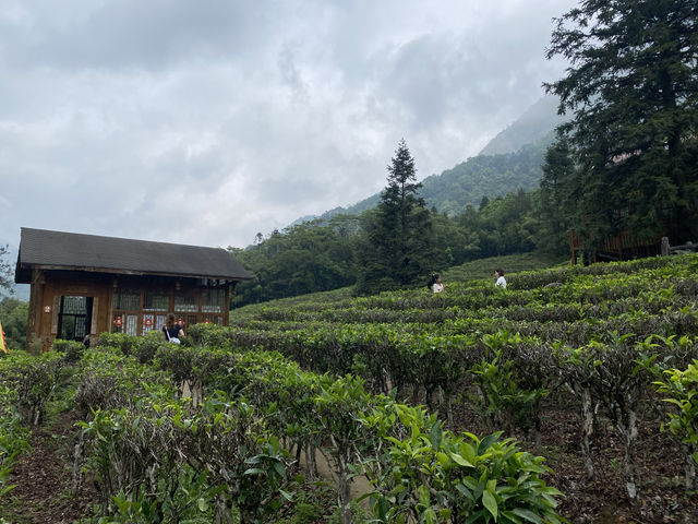 賀州姑婆山吸氧攻略
