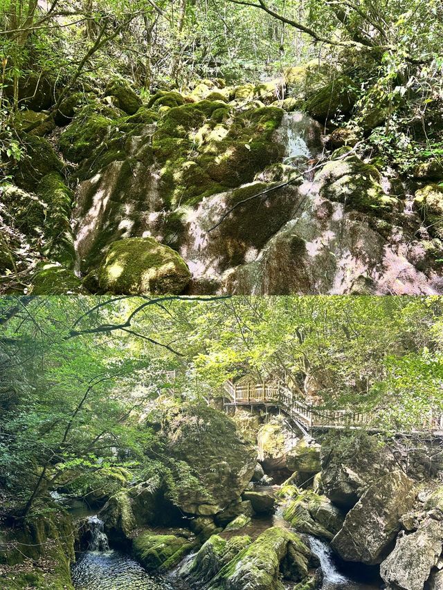 關門山—神農壇—天生橋！