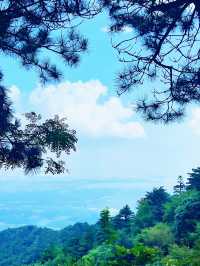 跟着“詩仙”的步伐也是徒步爬上了廬山。