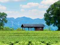 南寧休閒好去處 | 一場初夏的慢活之旅