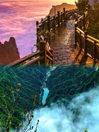 一個人去張家界！喺雲端遇到最治癒嘅風景