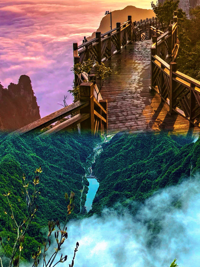 一個人去張家界！喺雲端遇到最治癒嘅風景