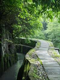 馬嶺古道帶娃驚魂記！這些保命招必睇