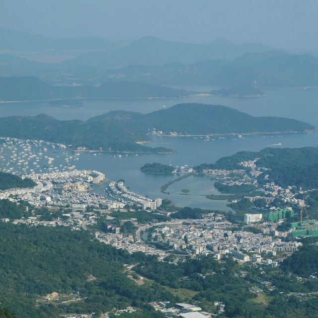 飛鵝山徒步之旅：登九龍巔峰，覽港城山海絕景