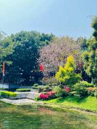廣州荔枝灣公園｜用20分鐘解鎖西關療癒力