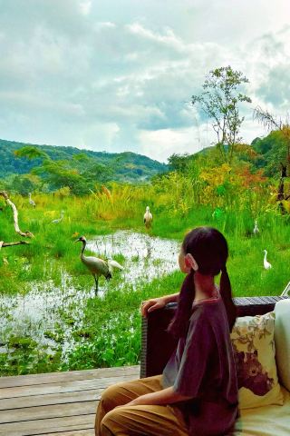 Puer Little Panda Manor | Stay at the Hotel of a Lifetime with Your Kids!