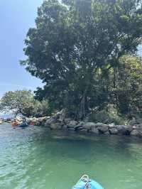香港大尾督紅樹林：皮划艇探幽之旅