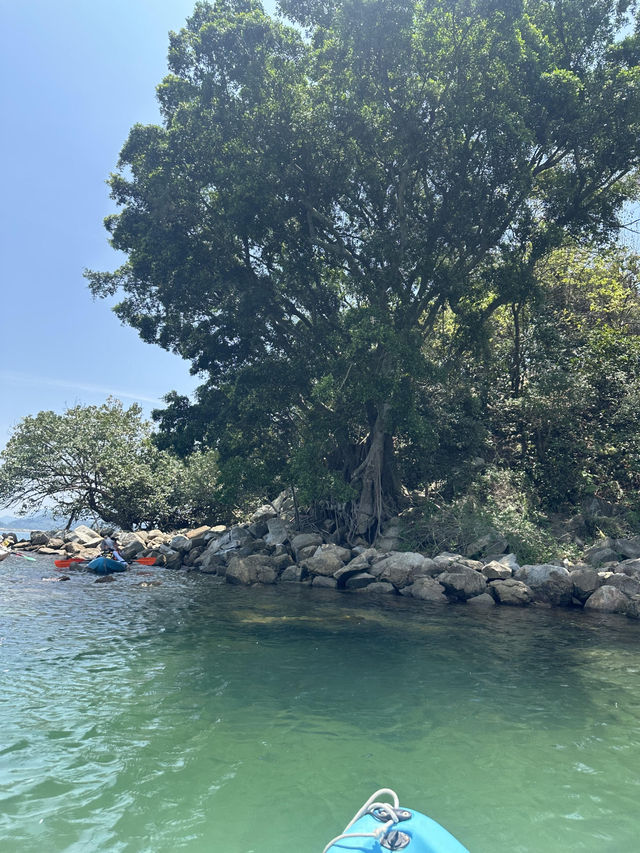 香港大尾督紅樹林：皮划艇探幽之旅