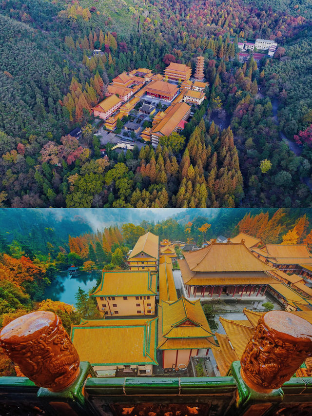 天目山3日2夜旅遊全攻略