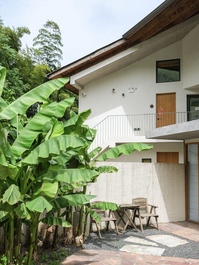 無玩水不夏天！莫干山這家民宿真係好清涼