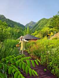 喺神農架住進童話森林木屋，靚到喊咗出嚟