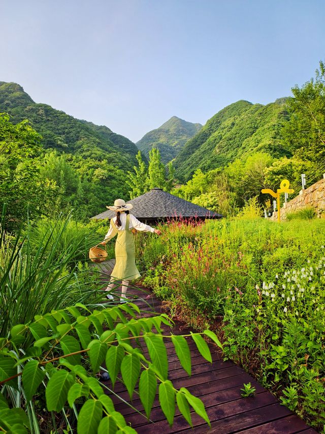 喺神農架住進童話森林木屋，靚到喊咗出嚟