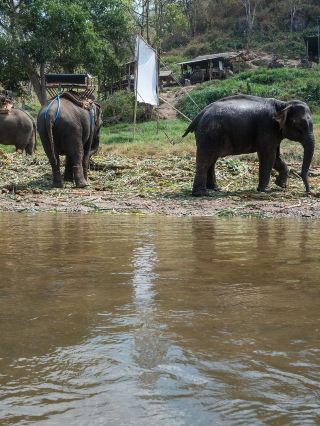 Sri Lanka Visa-Free! A Quick Overview of the 4-Day Popular Itinerary