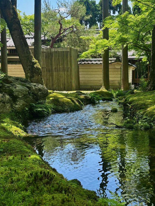 京都柏悅酒店
