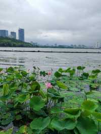 南京2日遊（金陵雙日·六朝煙水）