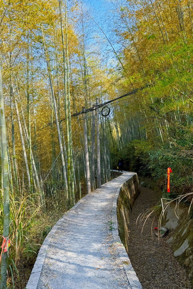 江浙滬徒步  一幅優美嘅富春山居圖