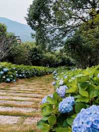 夏日私藏｜5個小眾郊遊地，避開人潮擁抱清涼山海