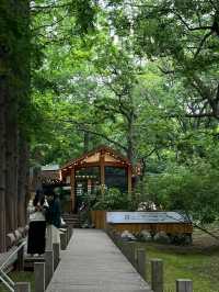 【青島旅拍日記】棧橋邊嘅治癒系週末