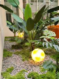 懸空綠洲 · 雲端花園-酒店秘境